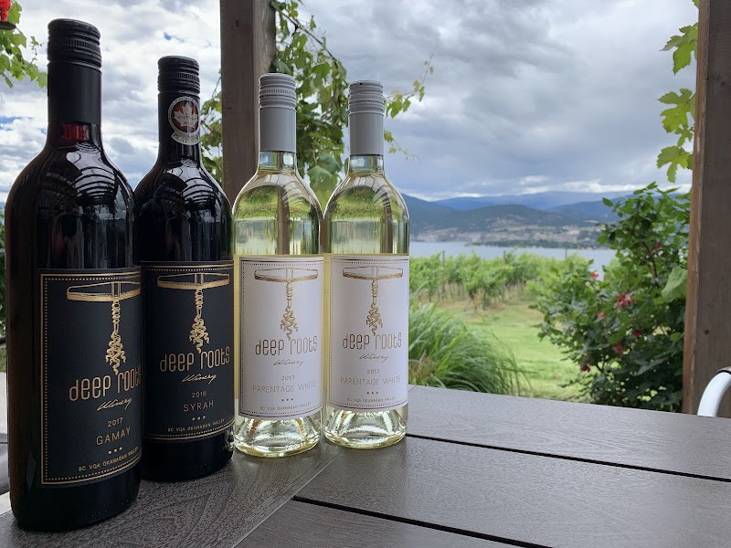 Deep Roots Winery 3