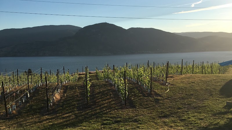 Origin Wines