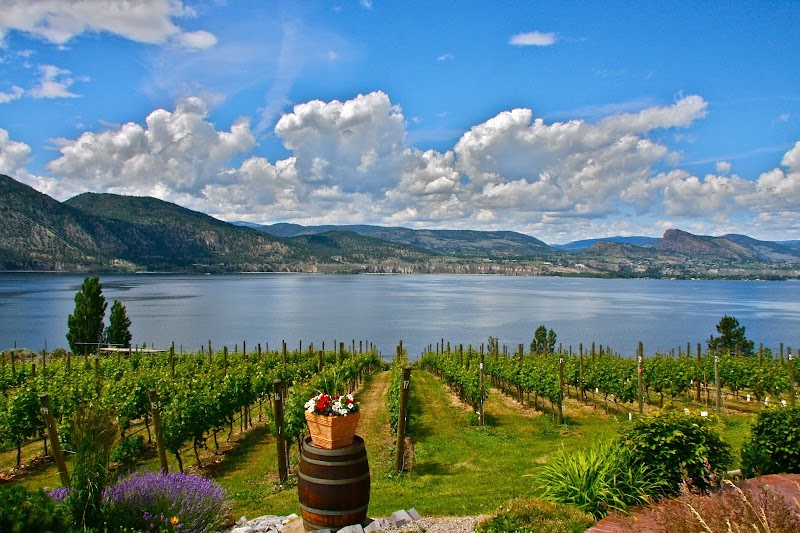 Bench 1775 Winery 4