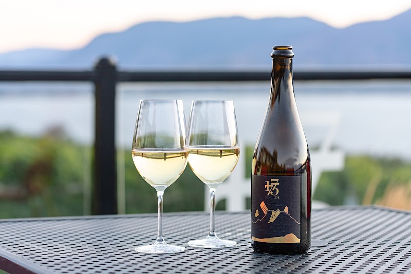 Bench 1775 Winery 5