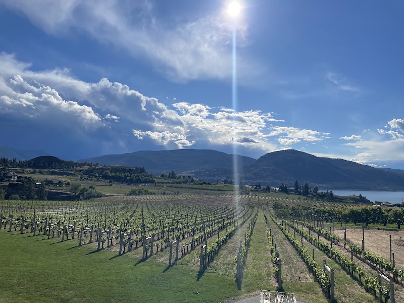 Little Engine Wines 4