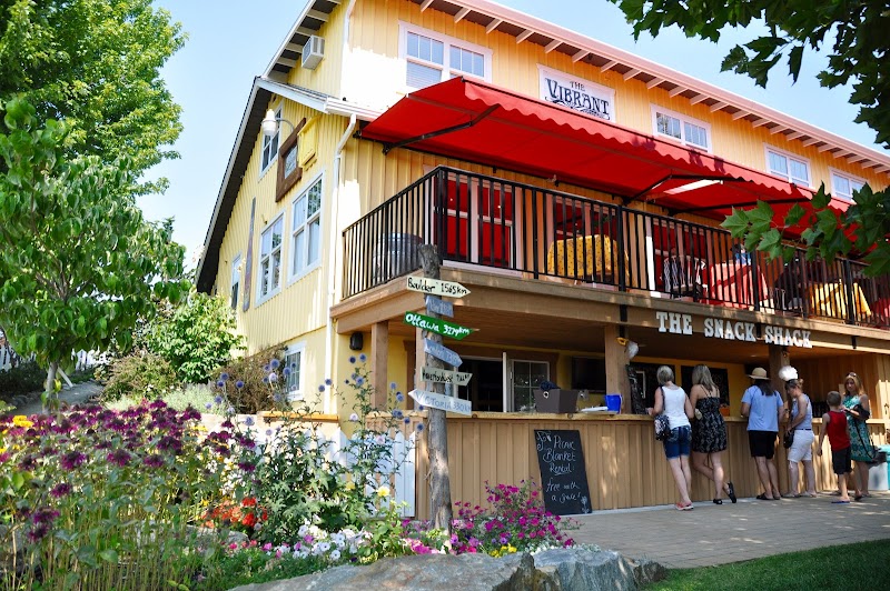 The Vibrant Vine Winery