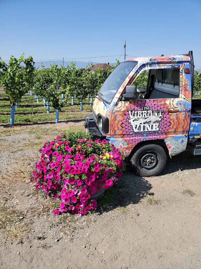 The Vibrant Vine Winery 5