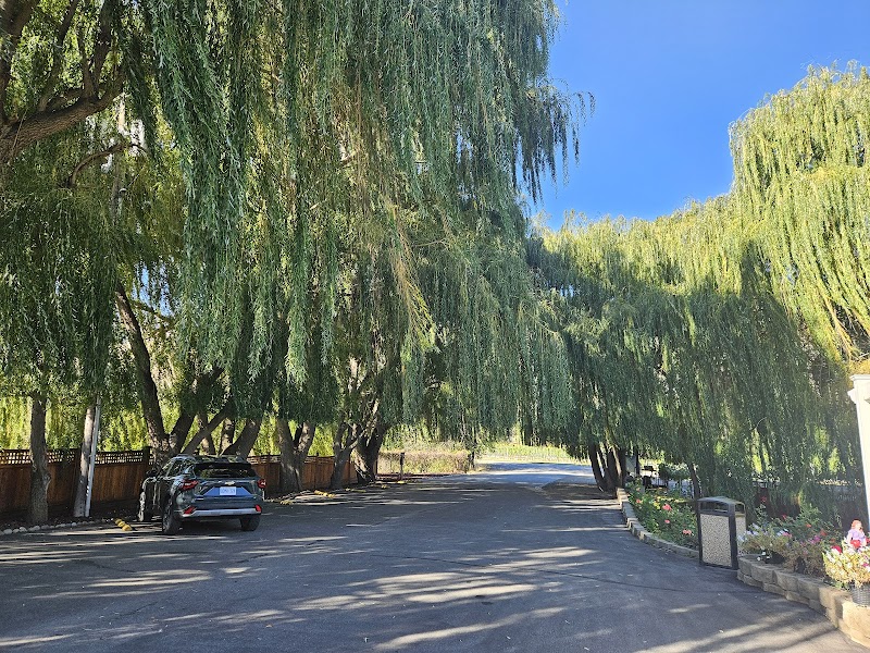 Silver Sage Winery 5