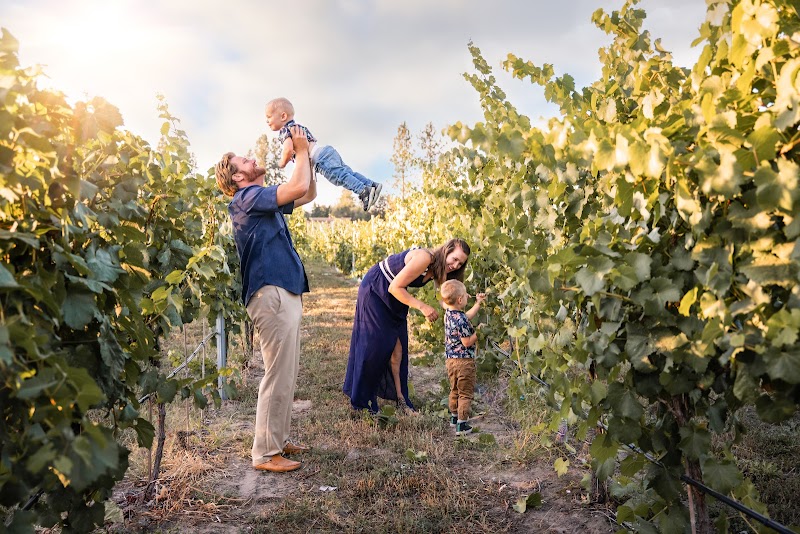 Hidden Vines Family Estate Winery 2