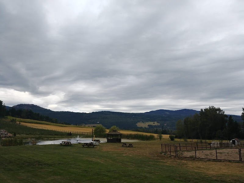 Baccata Ridge Winery 3