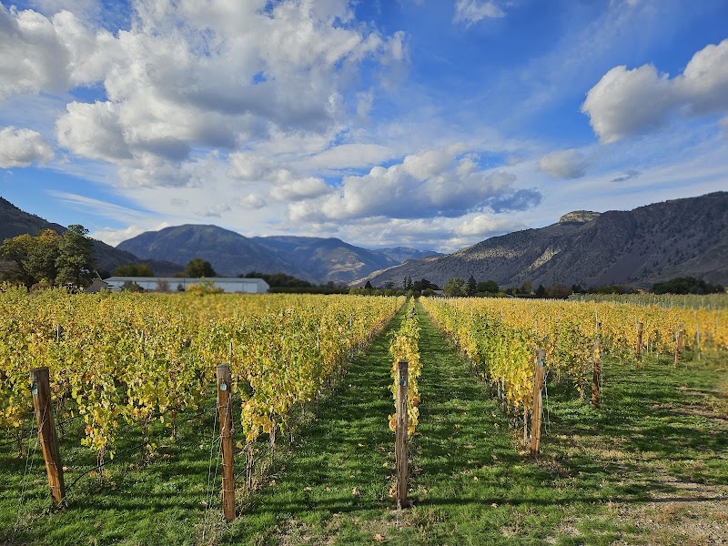 Bottega Wine Studio