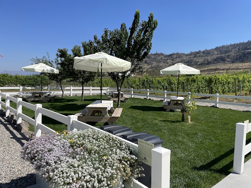Here's the Thing Vineyards 5