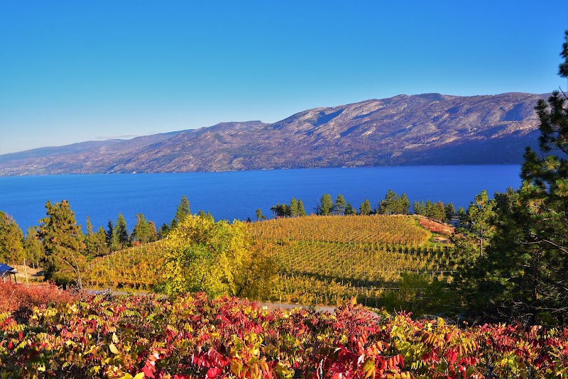 Hainle Vineyards Estate Winery Ltd. 3
