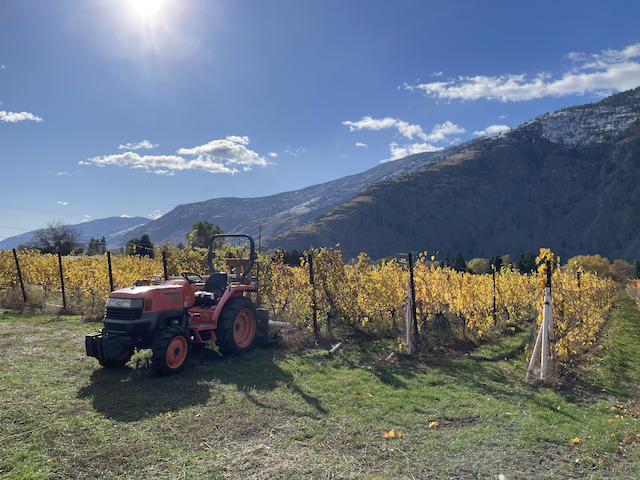 Little Farm Winery