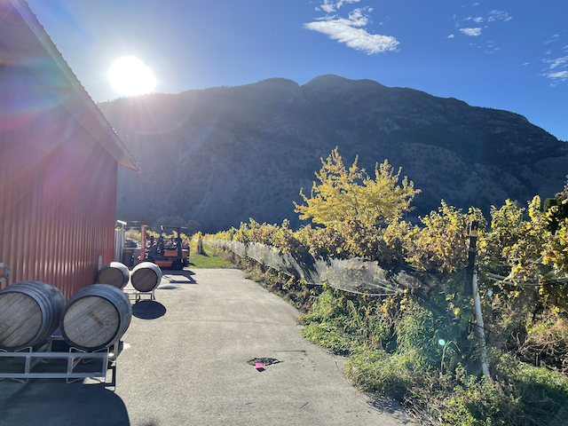 Little Farm Winery 4