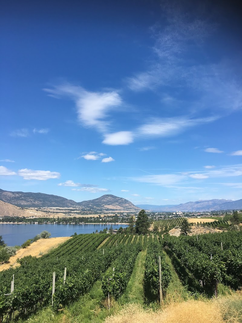 Pentâge Winery 3