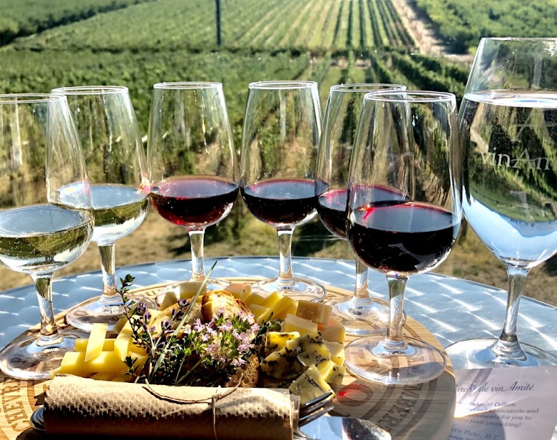vinAmité Cellars - Winery and Wine Lounge 3