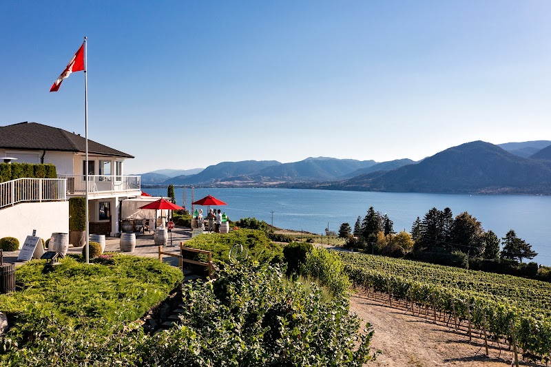 MOCOJO Winery 2