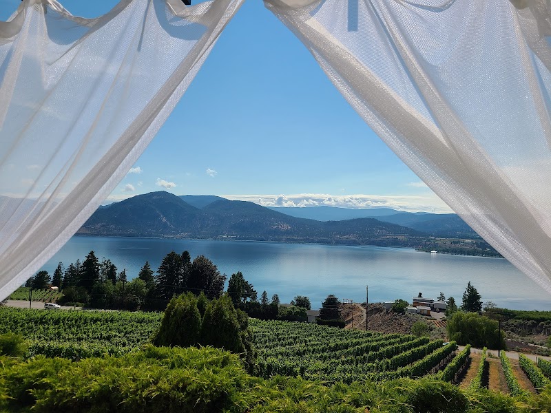 MOCOJO Winery 4