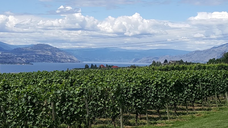Red Rooster Winery 3
