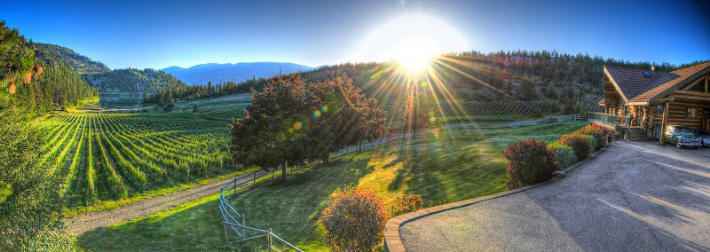 Nighthawk Vineyards
