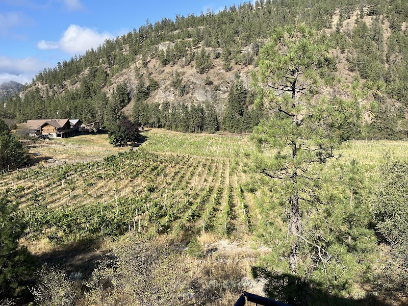Nighthawk Vineyards 2
