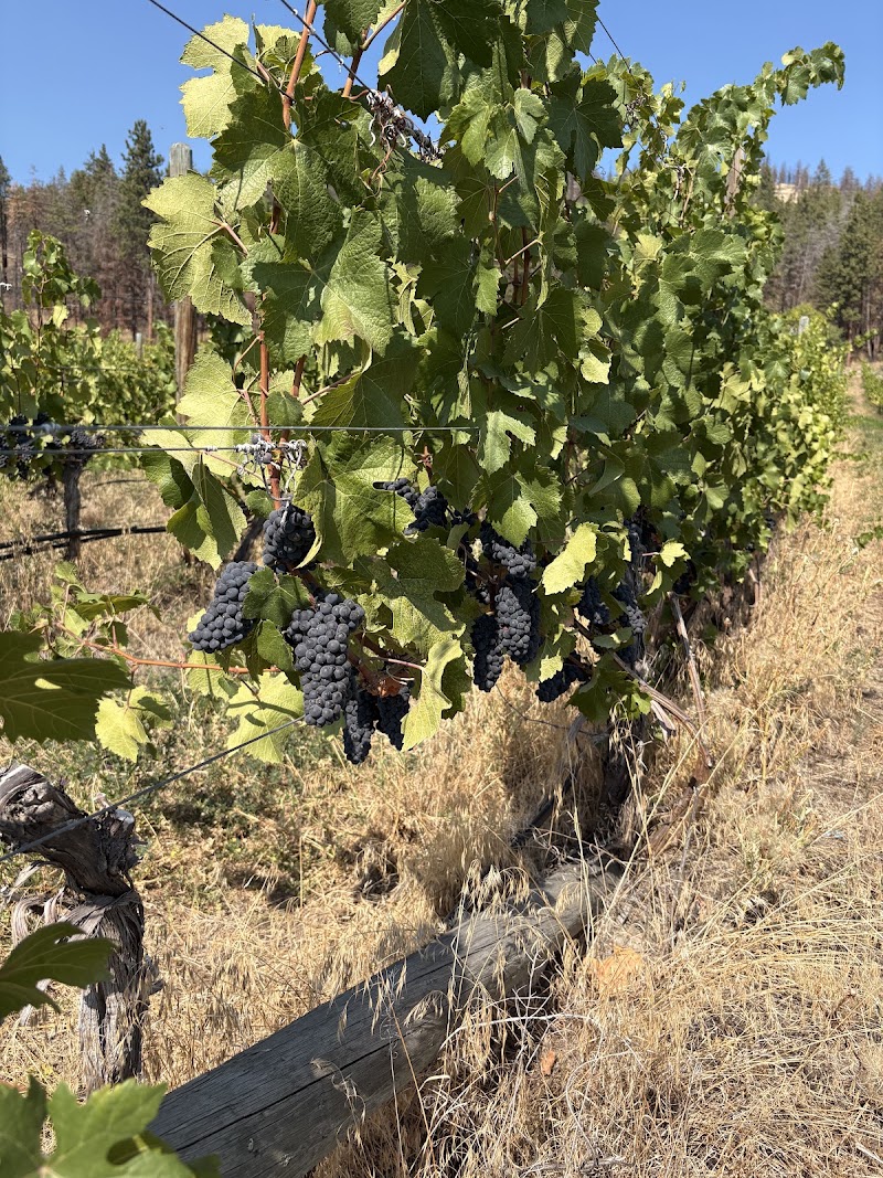Niche Wine Company 2