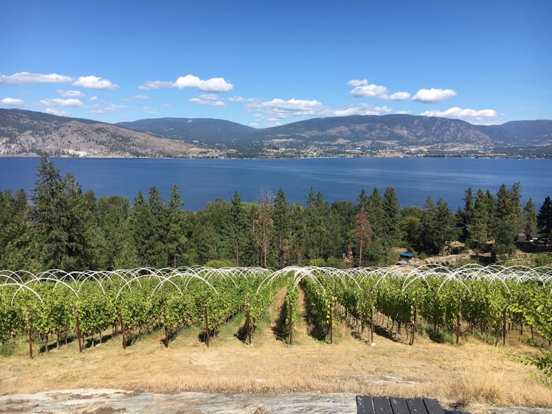 Scorched Earth Winery 4