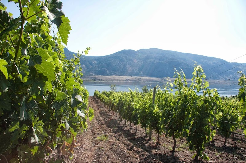 La Stella Winery 5