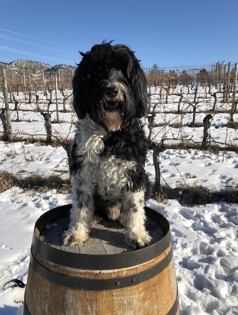 Platinum Bench Estate Winery & Artisan Bread Co. — photo 1