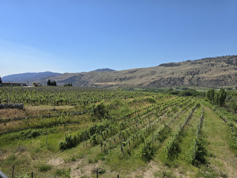 Platinum Bench Estate Winery & Artisan Bread Co. 3