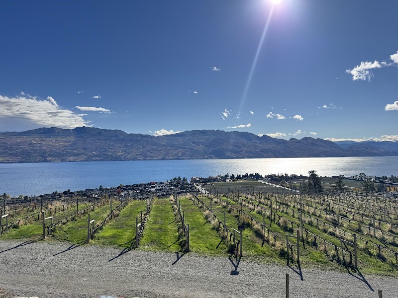 Mission Hill Family Estate Winery 4