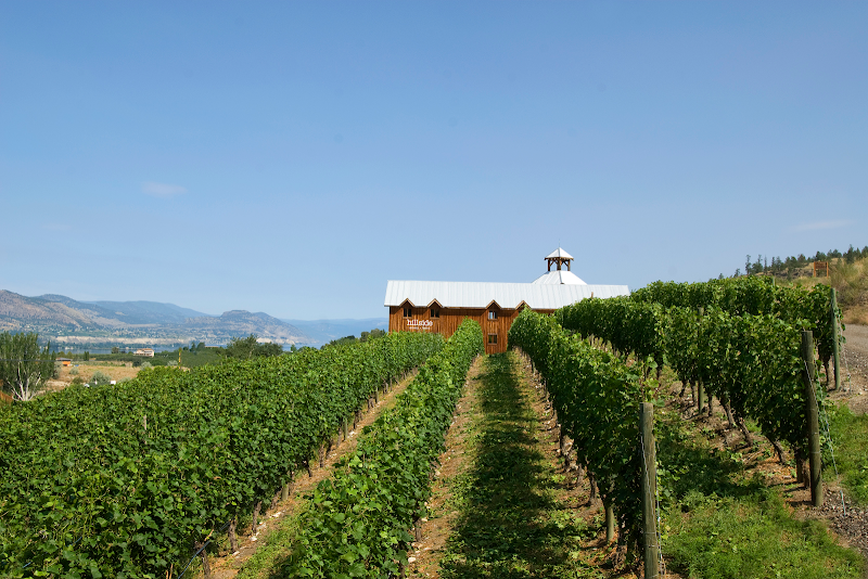 Hillside Winery
