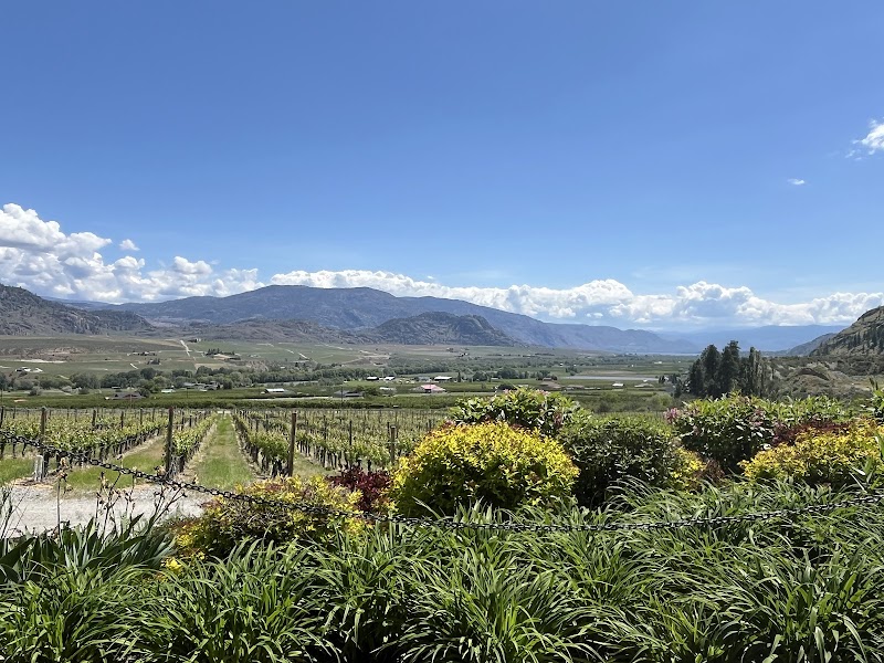 Rust Wine Co - Oliver/Osoyoos 4