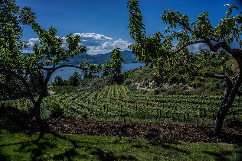 Kettle Valley Winery LTD