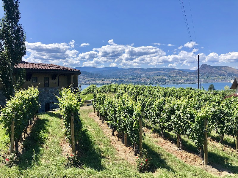 Lake Breeze Vineyards Tasting Room 4
