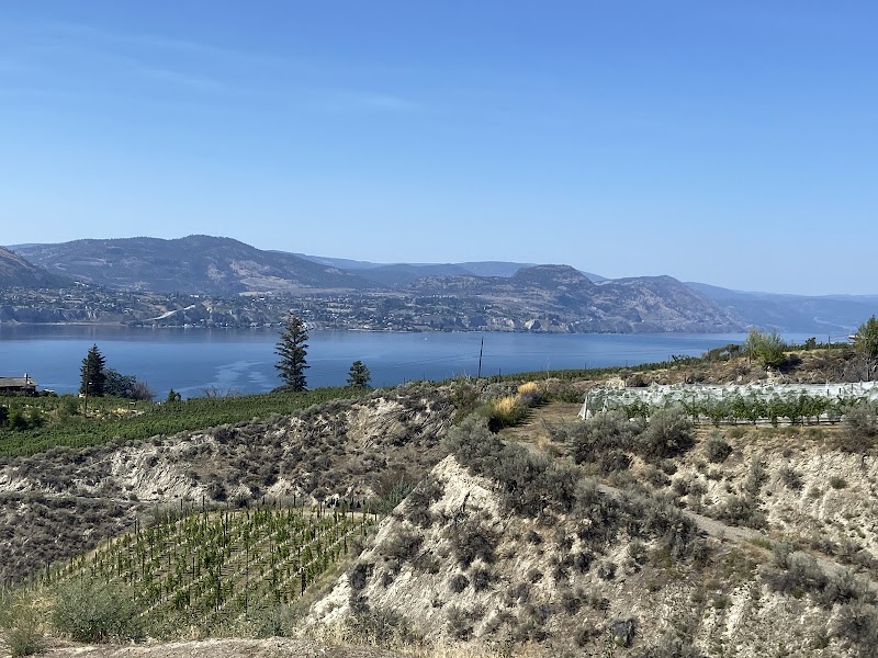 Lake Breeze Vineyards Tasting Room 5