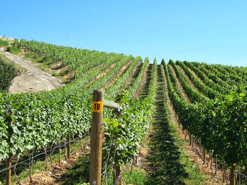 Howling Bluff Estate Winery 5
