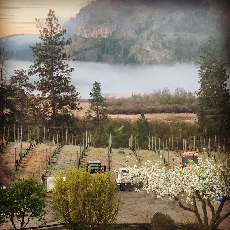 BC Wine Studio & Carter Wine Co 4