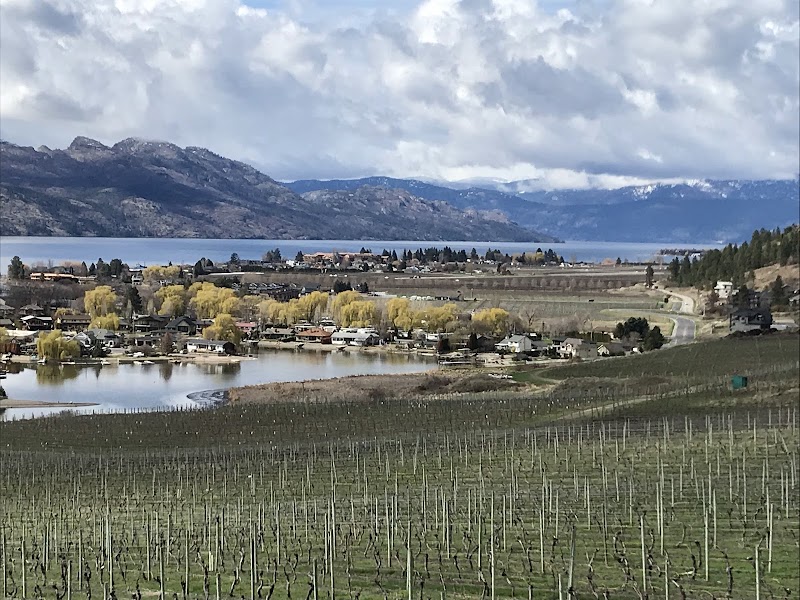 Quails' Gate Winery 3