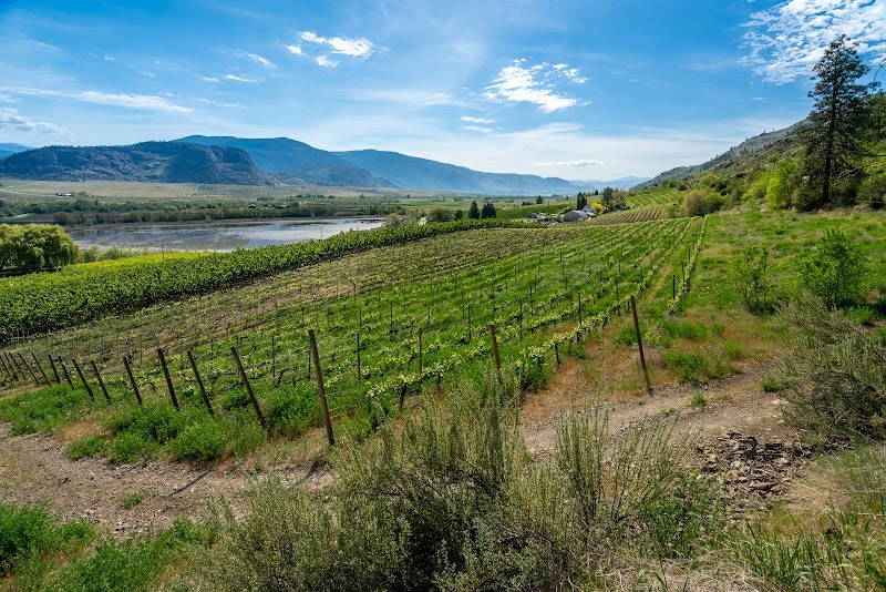 Winemaker's CUT — photo 1
