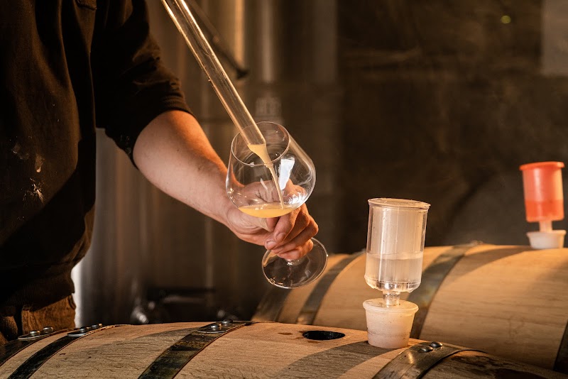 Winemaker's CUT 3