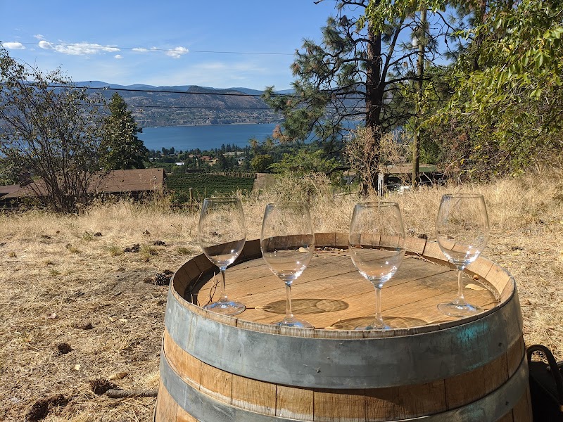 Daydreamer Wines 5