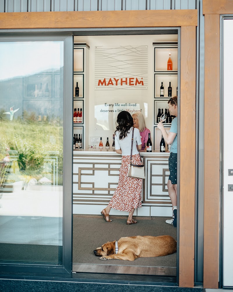 Mayhem Wines 4