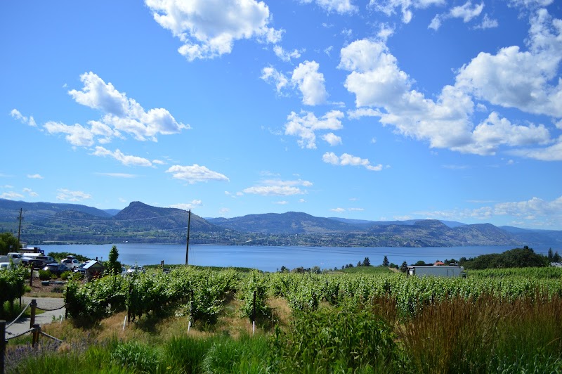 JoieFarm Winery 3