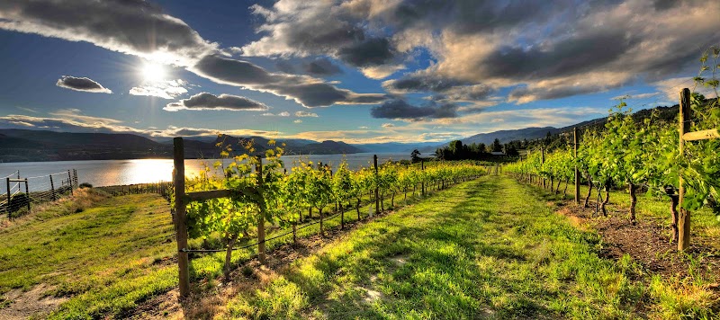 Moraine Estate Winery 5