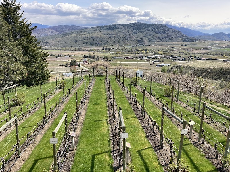 Tinhorn Creek Vineyards 2