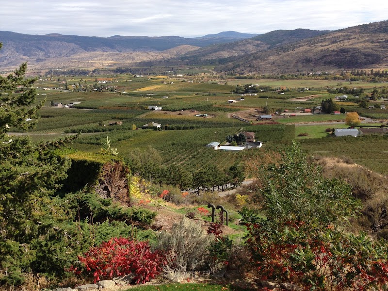 Tinhorn Creek Vineyards 5
