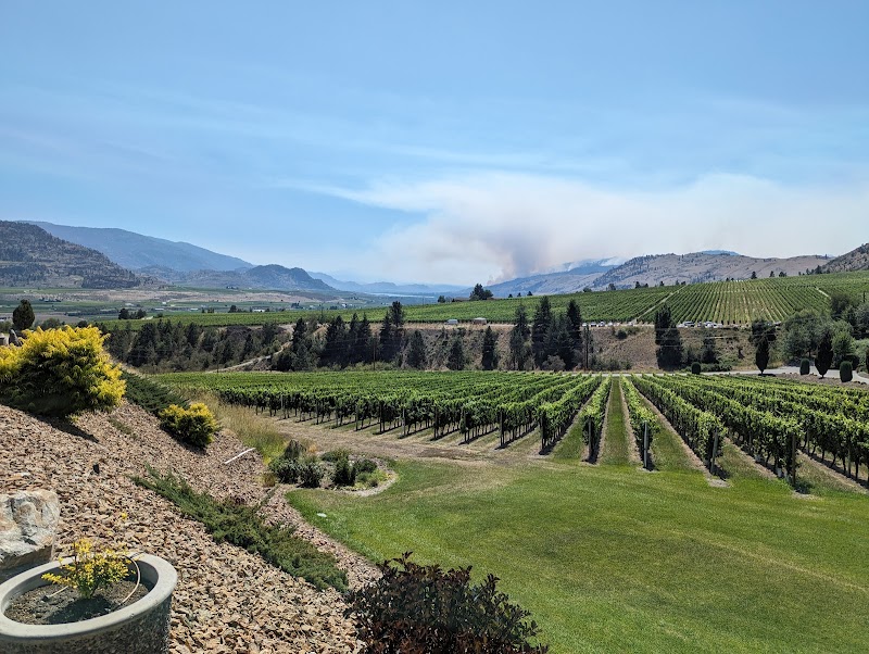 Gehringer Brothers Estate Winery 3