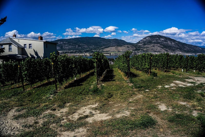 Monster Vineyards 5