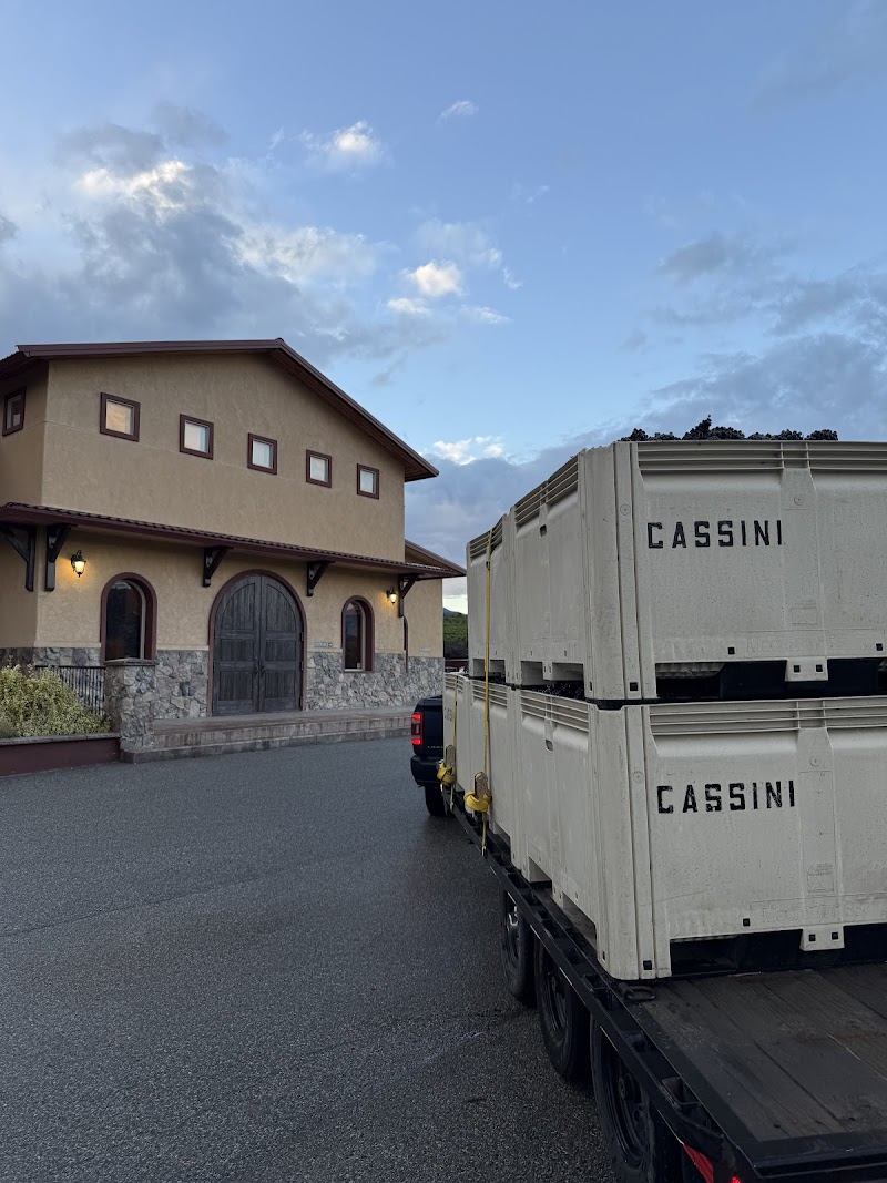 Cassini Cellars Winery 3