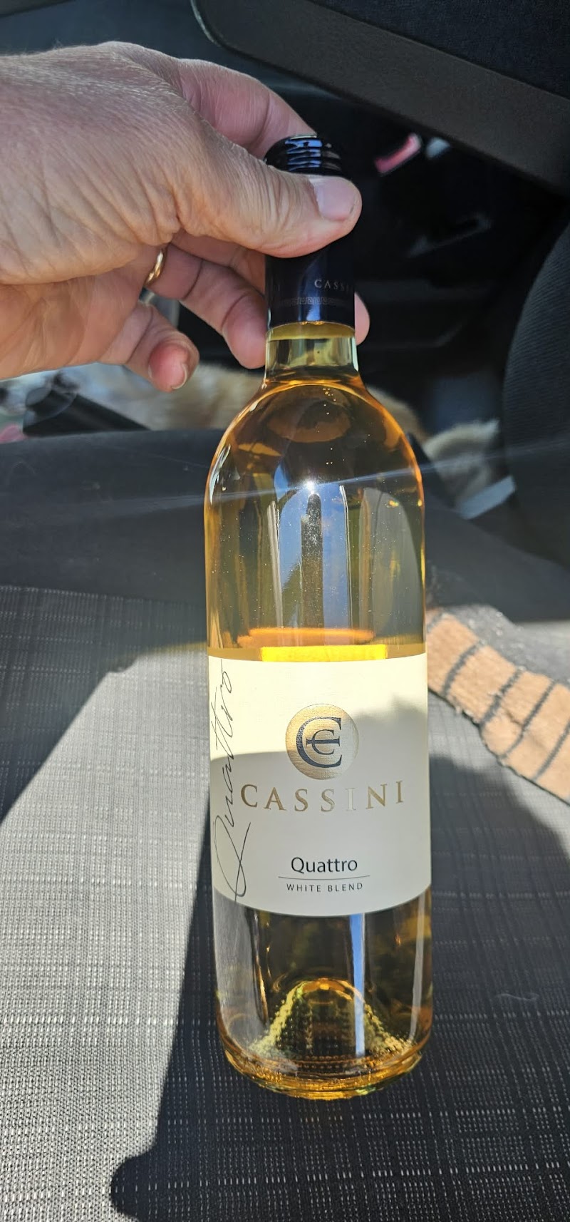 Cassini Cellars Winery 5