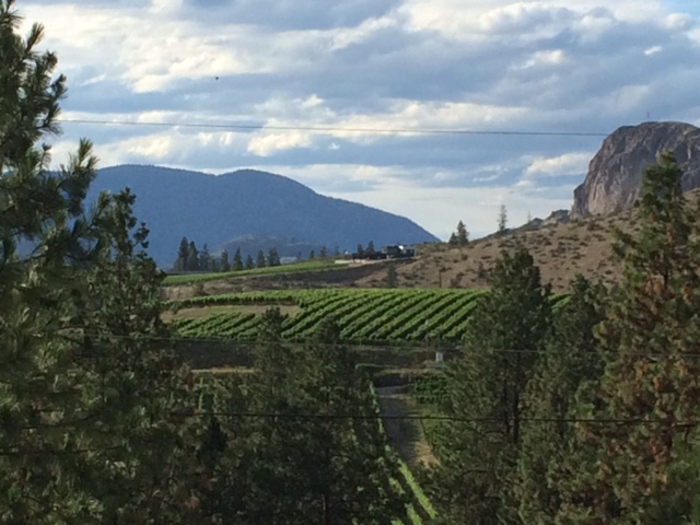 Bonamici Cellars 3