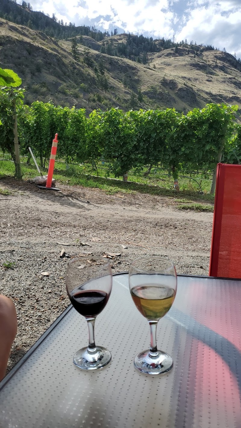 Castoro de Oro Estate Winery 3